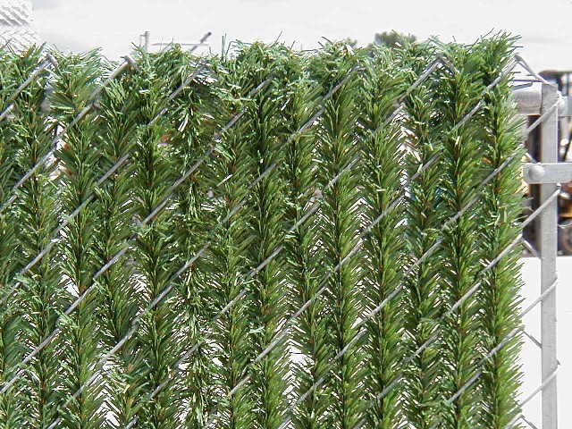chain and Permahedge.jpg (23997 bytes)