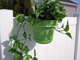 Plant Holders