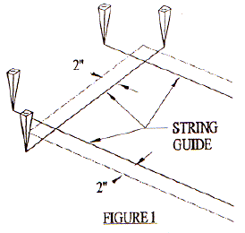 fig1.gif (54559 bytes)